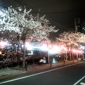 ★桜咲く季節 in 横浜★ケータリングいつやるの？いまでしょ！　