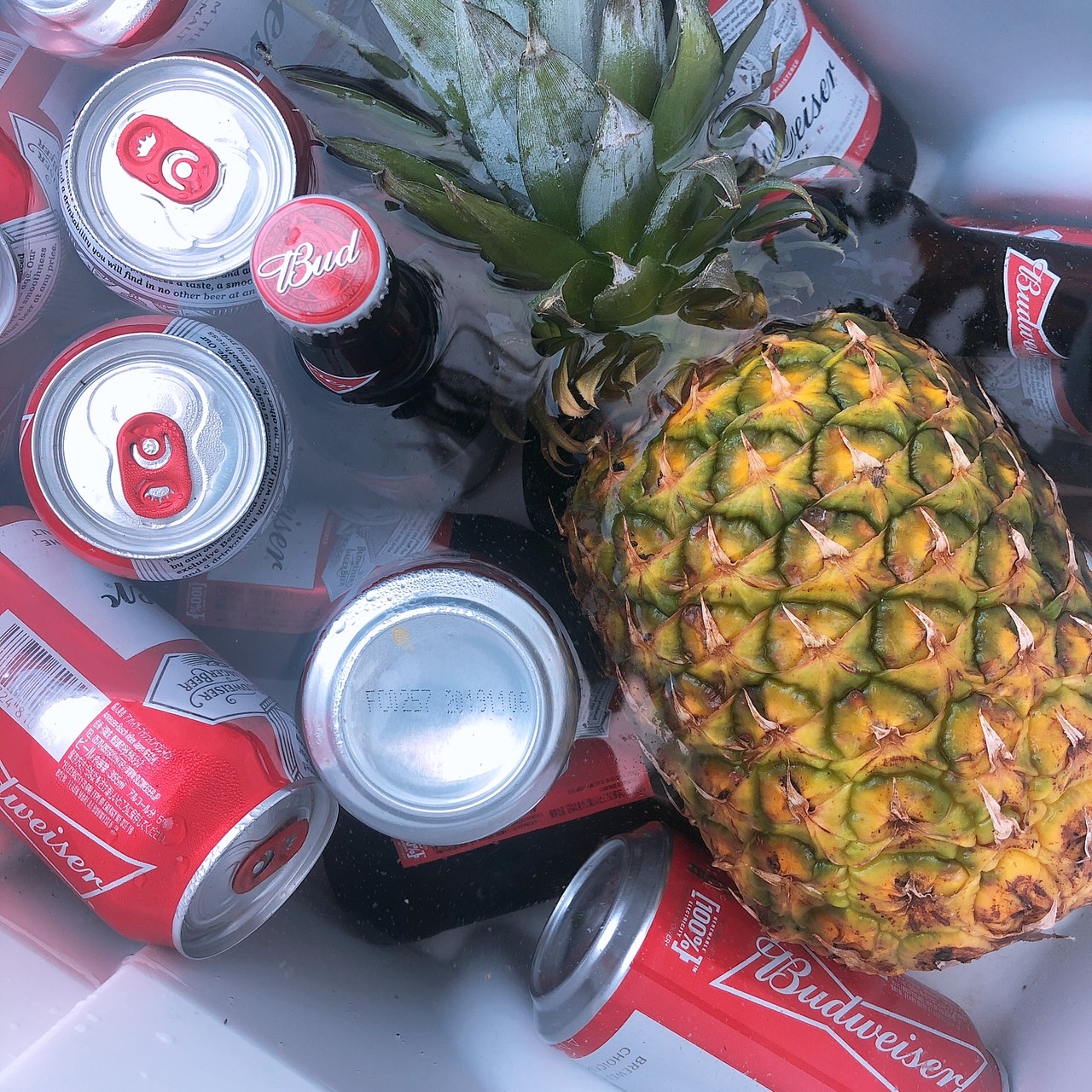 TONKYケータリング・デリバリー～DRESS BBQ in 伊豆下田～